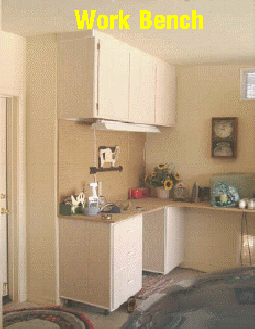 Garage cabinet Tucson home storage shelves that slide